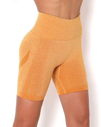 LeRoxy | Naadloze sportshorts voor dames | hoge taille, geschikt voor fitness