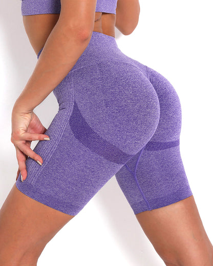 LeRoxy | Naadloze sportshorts voor dames | hoge taille, geschikt voor fitness