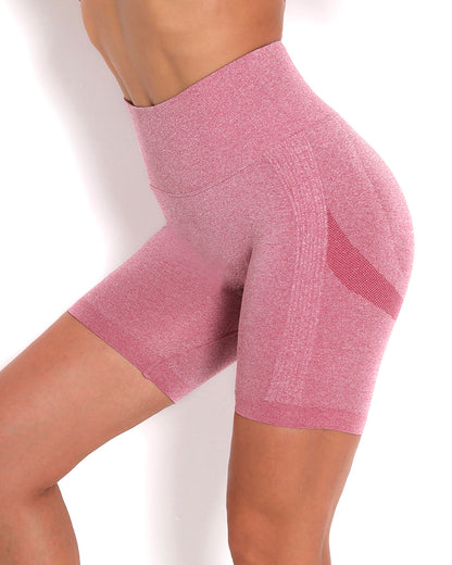 LeRoxy | Naadloze sportshorts voor dames | hoge taille, geschikt voor fitness
